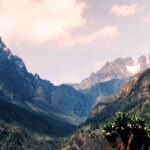 Rwenzori Mountain Hike
