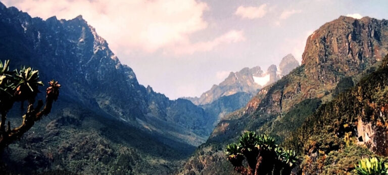 Rwenzori Mountain Hike