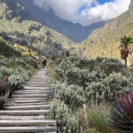 Rwenzori Trail