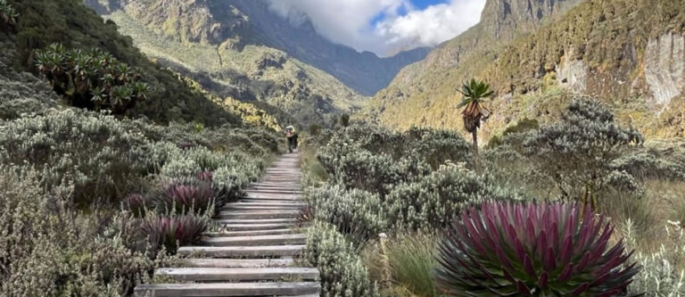 Rwenzori Trail