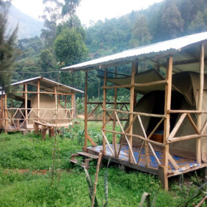 Rwenzori Turaco View Camp