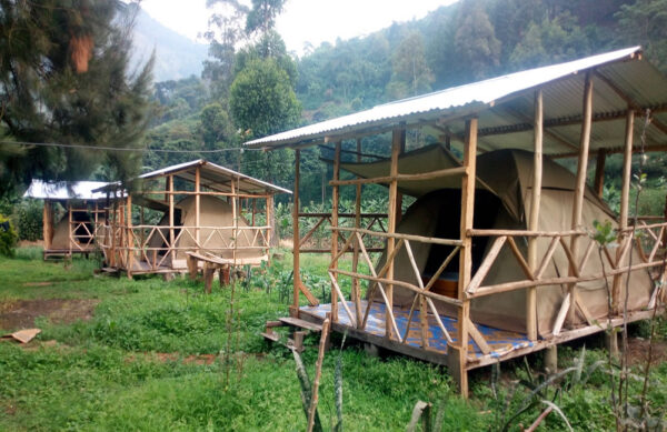 Rwenzori Turaco View Camp