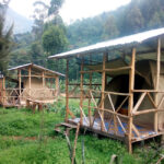 Rwenzori Turaco View Camp