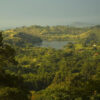 Rwenzori Hiking and Chimpanzee Trek