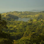 Kibale Forest
