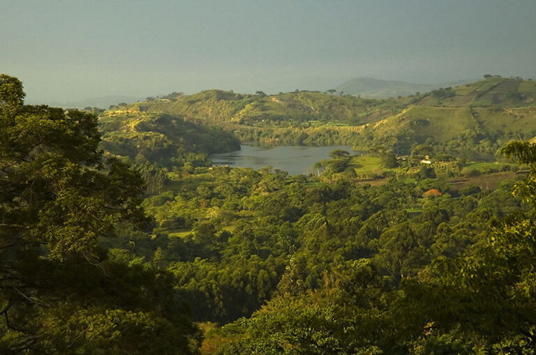 Kibale Forest